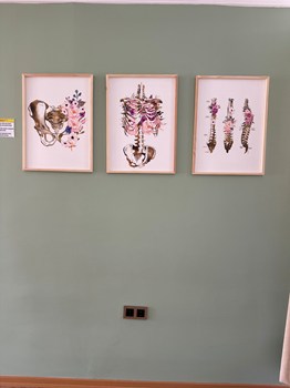 Galeri-10